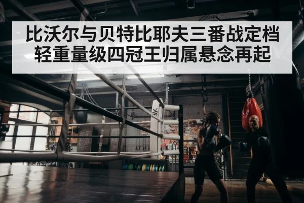 boxer training